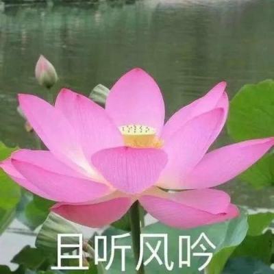 新春走基层丨天津：春节促文旅消费市场热潮涌动